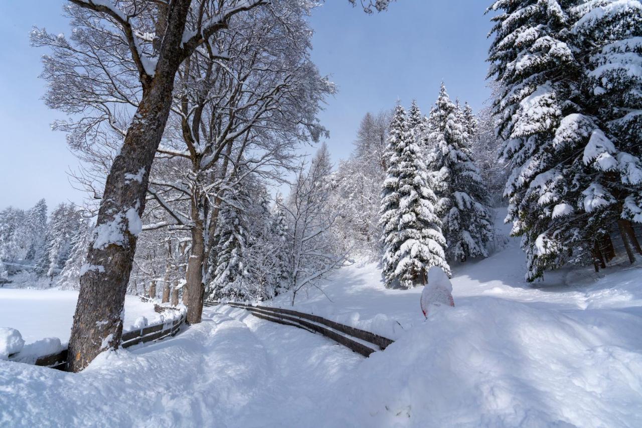 Chalet Traumblick Mauterndorf  Exteriör bild
