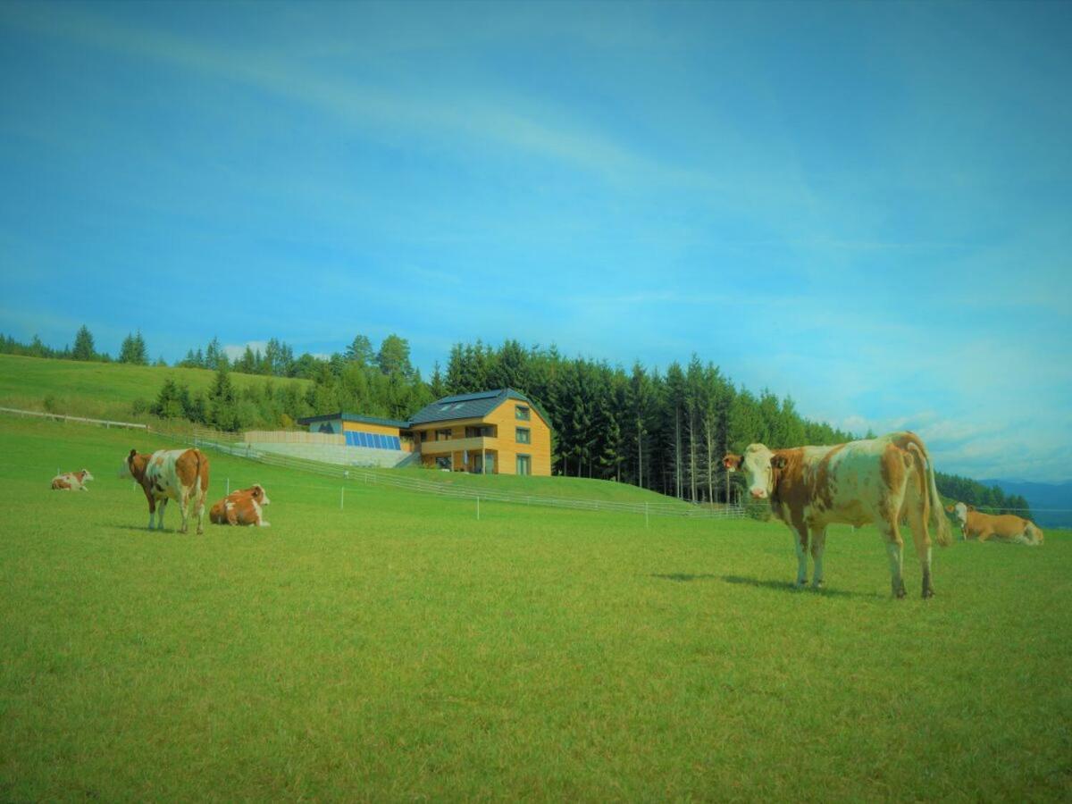 Chalet Traumblick Mauterndorf  Exteriör bild
